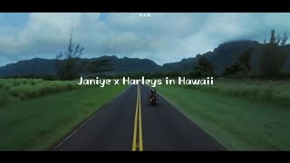 Janiye X Harleys In Hawaii Lyrics Video mix  Rashmeet Kaur  Vishal Mishra  Katy Perry [upl. by Barren]