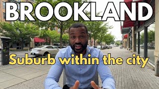 Washington DC Neighborhoods  BROOKLAND  HOMES amp Neighborhood TOUR [upl. by Lamdin921]