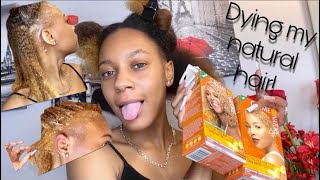 How to dye natural hair blonde  Hair Experiment [upl. by Vihs]