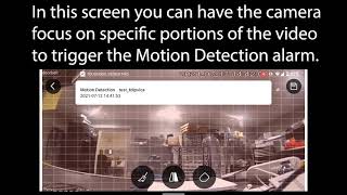 TDIPVICA MOTION DETECTION SETTINGS [upl. by Tamer]