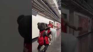 Dillon Brook and Rockets mascot pillow fight 🤣☠️nba [upl. by Seraphim]