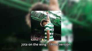 JOTA ON THE WING  1 HOUR version [upl. by Bronez]