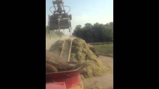 ORiley Livestock grinding hay in La Cygne KS [upl. by Ynobe]