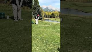 Kananaskis golf and country club signature hole par 3 [upl. by Eikram]