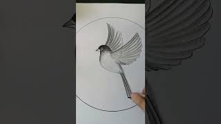 Birds with fly wings 🦅🦅 shorts short youtubeshorts art drawing bird [upl. by Alcus]