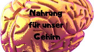 Schäden amp heilende Nahrung für unser Gehirn [upl. by Annis98]