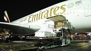 Very Important Pianos fly Emirates SkyCargo [upl. by Yelhsa]