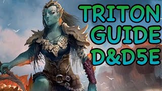 DampD5E TRITON GUIDE [upl. by Balfore]