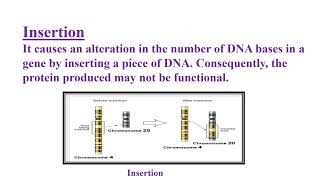 Molecular basis of Mutation Video No 545 [upl. by Yob]