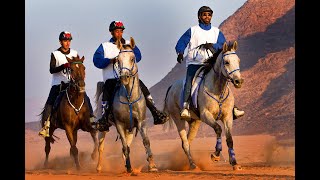 THE TOUGHEST HORSE RACE • THE UAE ENDURANCE CUP RACE [upl. by Liamsi]