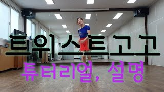 트위스트고고 튜터리얼 스텝 설명 Twist Go Go Tutorial 이찬원32카운트Beginner Level 노래방 댄스노래방에서 추기 쉬운 춤 [upl. by Jonina]