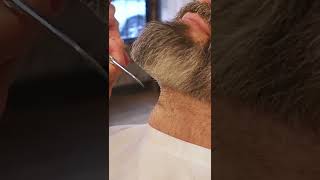 Beard Fade With Big Goatee to Tight Sideburns Shorts [upl. by Carly]