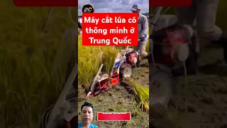 Máy cắt lúa có thông minh ở Trung Quốc [upl. by Sane]