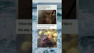 Fish in sea Meme  meme shorts ytshorts  524 [upl. by Llennej756]