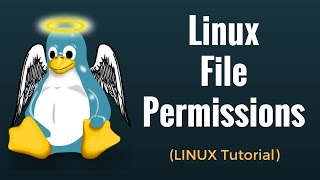 Linux File Permissions Commands with Examples  Linux Tutorial 6 [upl. by Ingaborg]