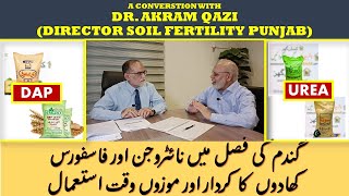 NITROGEN amp PHOSPHORUS FERTILIZERS IN WHEAT  DR AKRAM QAZI DIR SOIL FERTILITY PUNJAB  Part 2 [upl. by Crispas841]