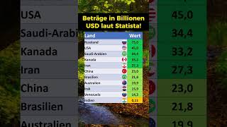 Länder mit den meisten natürlichen Ressourcen [upl. by Roberto665]