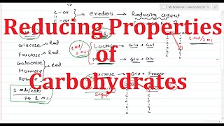 8 Reactions of Monosaccharides Part2  Reducing Property  Benedicts Test  Barfoeds Test [upl. by Irrot]