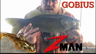 ZMAN Gobius Review  tested on the water Underwater footage [upl. by Merce]