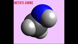 Methyl amine organo nitrogen compounds 3D structure [upl. by Kannry204]