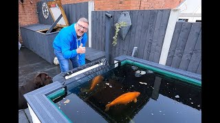 KOI PONDPOND WINDOW INSULATION COVER TO MAKE FOR FREE😉👍 TO COVER THE POND OR NOT TO COVER YET🤔 [upl. by Suillenroc]