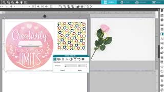 Image Effects in Silhouette Studio® [upl. by Luemas297]