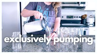 FULL DAY OF PUMPING  my pumping routine at 4 months postpartum  favorite hands free pumps [upl. by Akived]