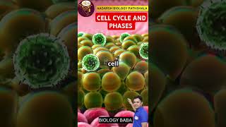 Cell Cycle and Phases facts ncertbiology ncertbiology gseb viralshorts [upl. by Behka]