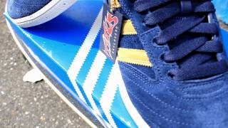 Titus Exclusive  Adidas Dennis Busenitz [upl. by Camm]