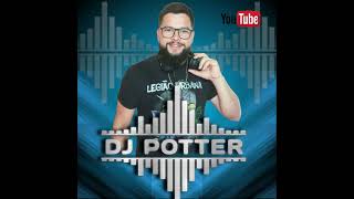 RETROTON MIX BAILE POTTER MIX DJ [upl. by Zonnya]