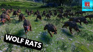 Are Wolf Rats Any Good  Skaven Unit Focus [upl. by Penelope911]