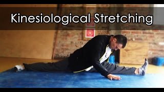 Kinesiological Stretching Techniques Demo  Stretching Gracilis for the Open Front Split [upl. by Tarrel989]