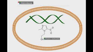 Antiamoebic Drugs  Metronidazole Mechanism of Action  Antiamoebic Drugs  Metronidazole Drug [upl. by Zimmer]