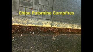 chloe palomino  campfires [upl. by Julee]