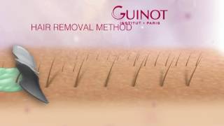 Animation GUINOT Method Epilation 2016 [upl. by Eddana]