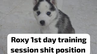 Roxy shit position training 1st day [upl. by Amoeji]