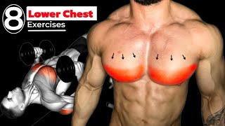 How To Build Chest  8 Best Lower Chest Exercises [upl. by Sihtnyc]