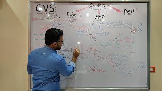 CVS module  Carditis  Endo Myo Peri [upl. by Tereve]