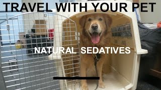 Natural Sedatives for Travelling With Your Dog or Cat [upl. by Moon143]