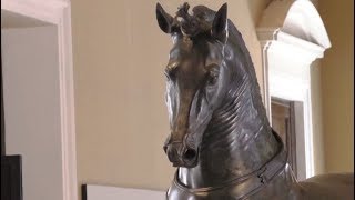 Napoli  Il Cavallo Mazzocchi torna al Museo Archeologico 230617 [upl. by Pardner]