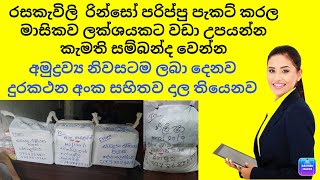 රසකැවිලි රින්සො පරිප්පු පැකට් කරල මාසිකව ස්තීරවම ආදායමක් ලබාගන්න අමුද්‍රව්‍ය නිවසටම [upl. by Bailey759]