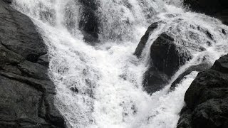 Chinchoti Waterfall Vasai Maharashtra [upl. by Airpal]