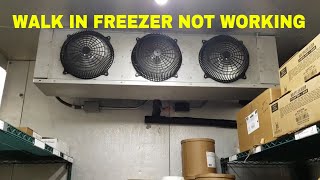 WALK IN FREEZER NOT WORKING [upl. by Cohberg458]