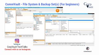 CommVault  File System amp Backup Sets For beginners [upl. by Ahsitaf]