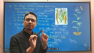 CEE 2081 MEMORY BASED QUESTIONS Part 12 UNIT DEVELOPMENTAL AND APPLIED BOTANY [upl. by Orv]