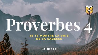 La Bible Proverbes 4 Louis Segond biblevision [upl. by Merceer80]