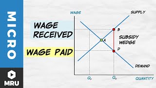 Wage Subsidies [upl. by Helas]