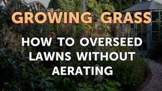 How to Overseed Lawns Without Aerating [upl. by Kirit]