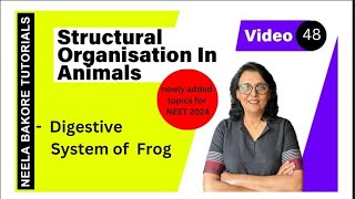 Digestive System of Frog  NEET 2024  Neela Bakore Tutorials [upl. by April]