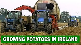 Potato Farming in Ireland  Documentary by Videos of Irish Farming Life [upl. by Eicam966]